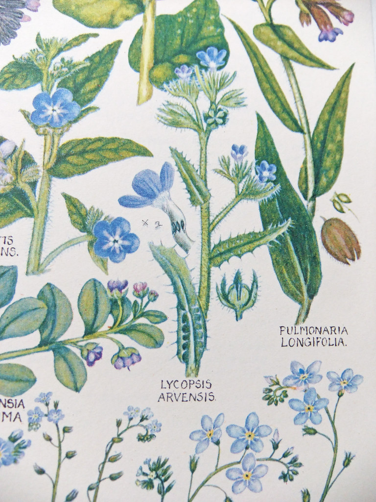 Botanical Sticker Pack