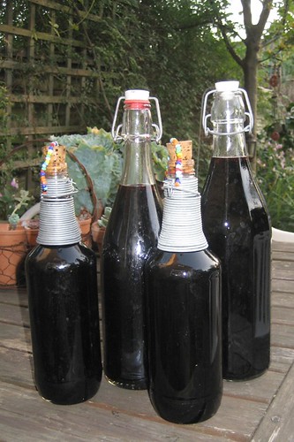 Elderberry Syrup, image 3