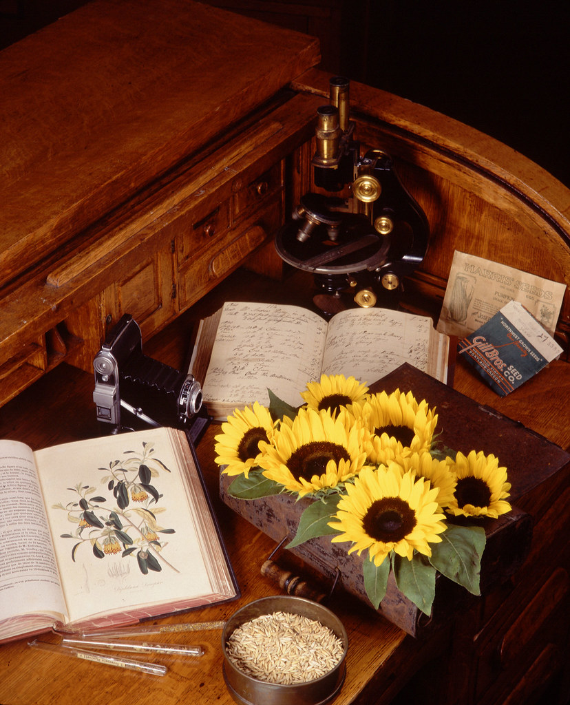 The Garden Journal