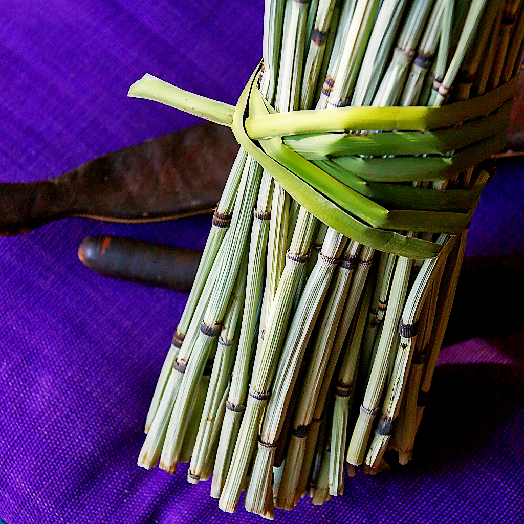 The Home Herbal Starter Guide