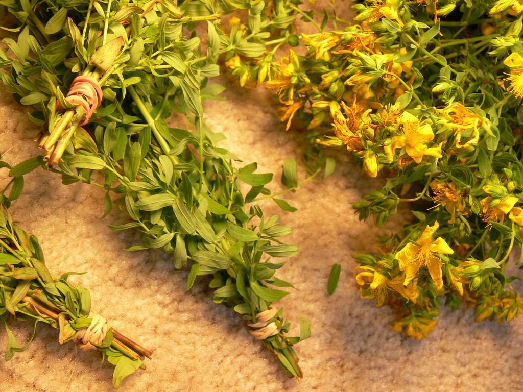 Mullein Smudge Sticks, image 3