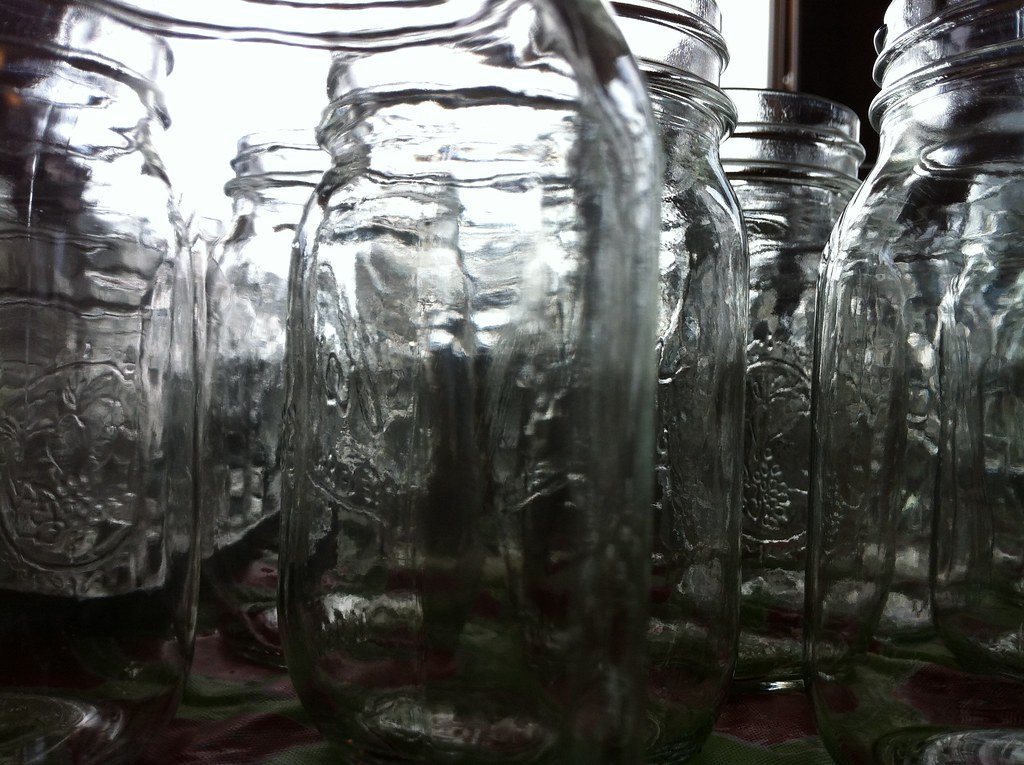 Canning & Preservation Kit